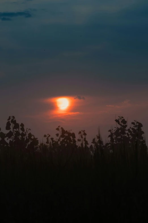 the sun sets behind some trees with a dark sky