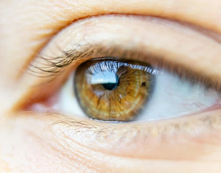 a close - up image of a person's brown eye