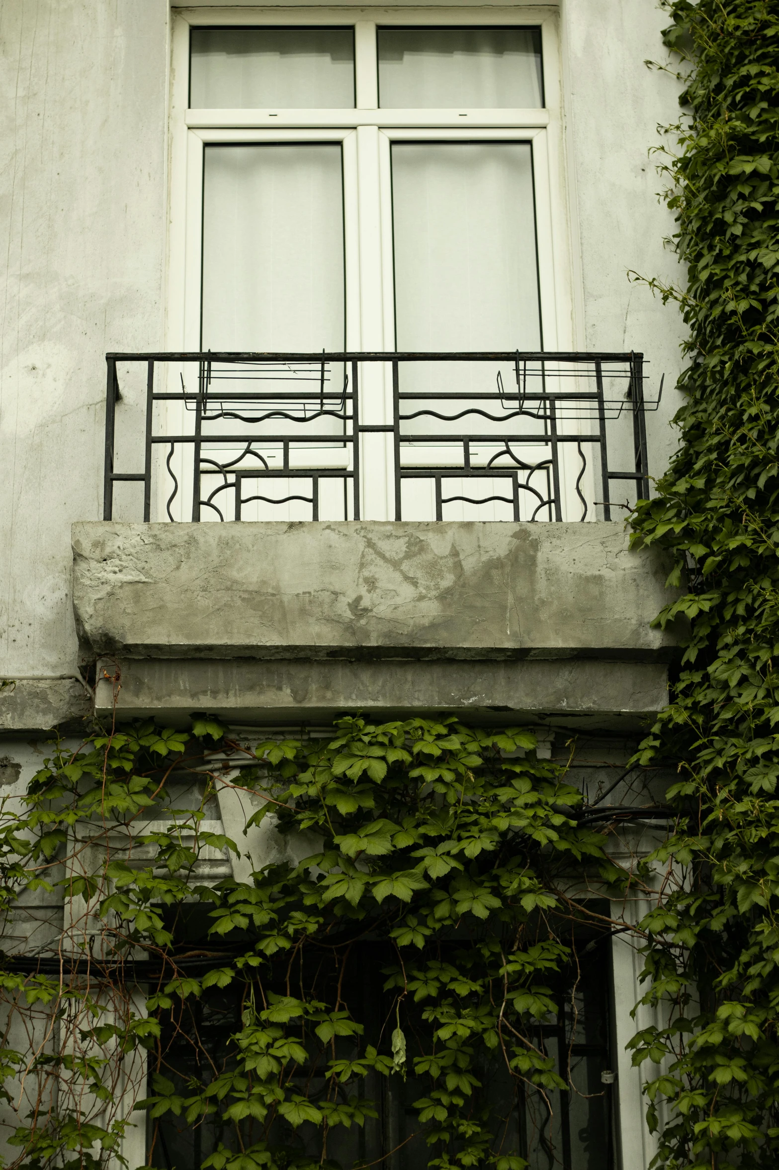 an open window and balcony above an ivy covered building