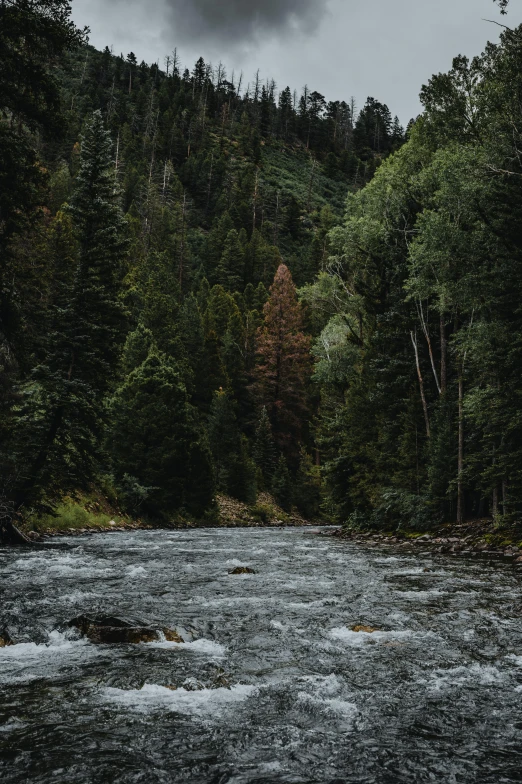 a river that has water in it near some trees