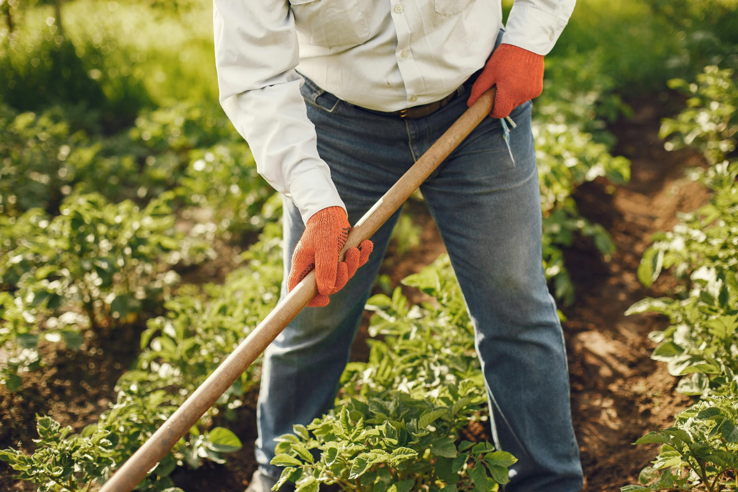 a person using a long stick to work on plants