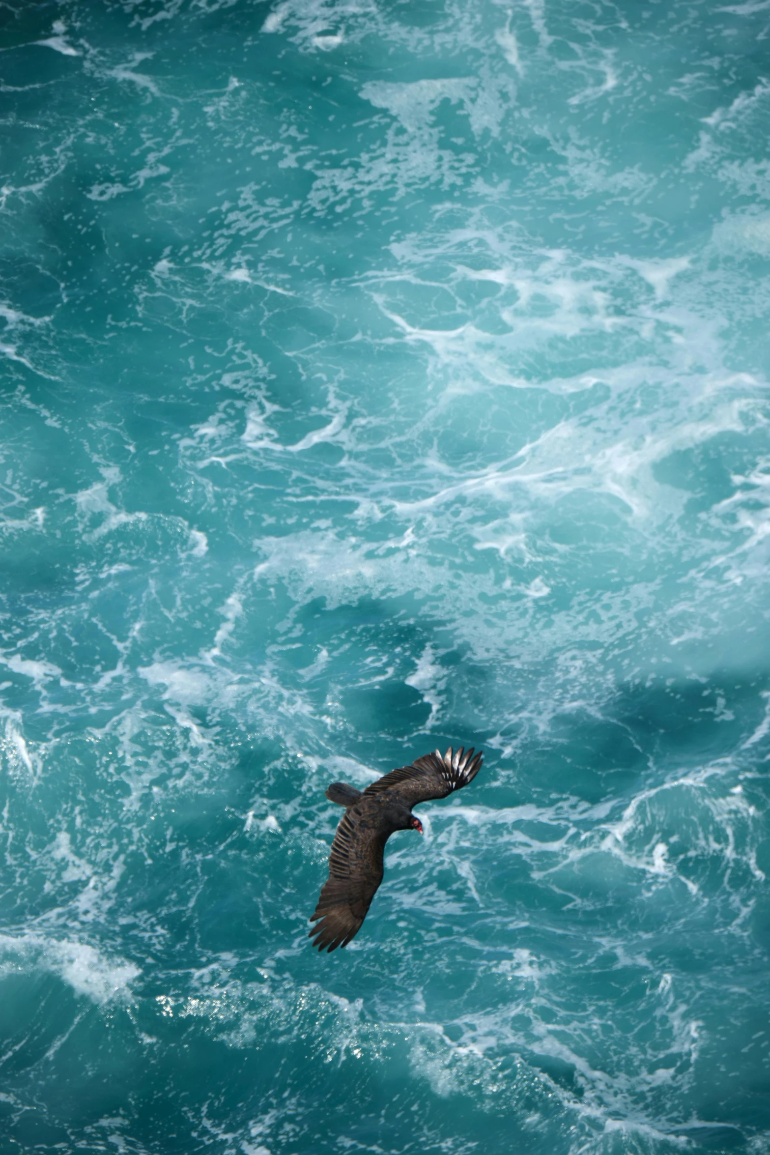 a bird in flight over an ocean of waves