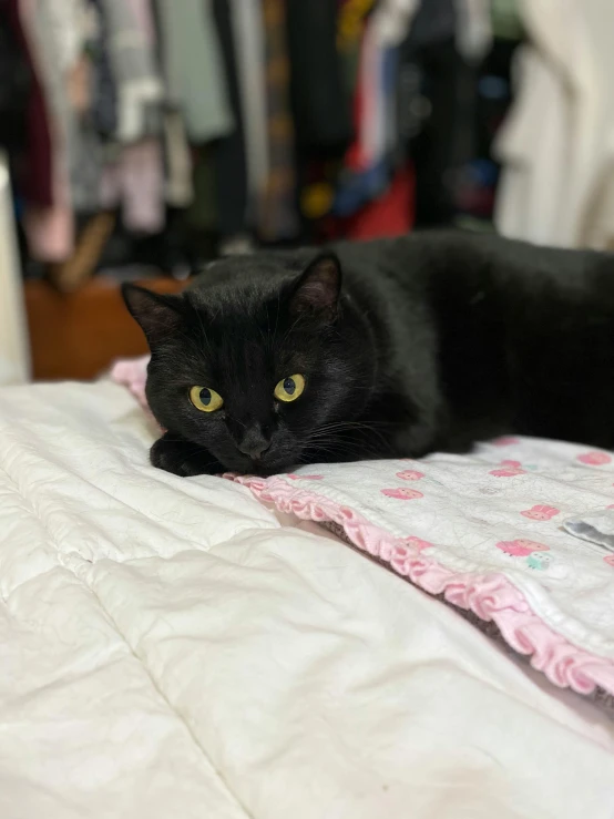 a black cat with yellow eyes laying on a white bed