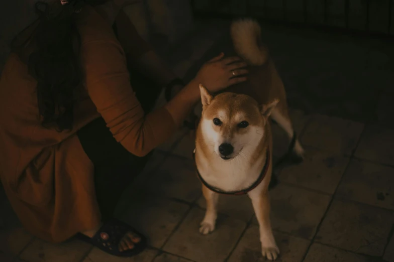 a dog is sitting on the ground and a woman is touching its paws