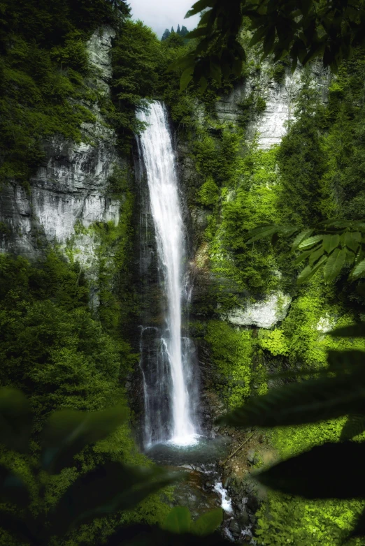 a tall waterfall sitting in the middle of a forest