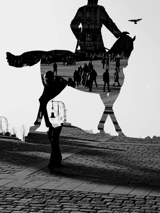 a shadow of a man on a horse with a man standing on it