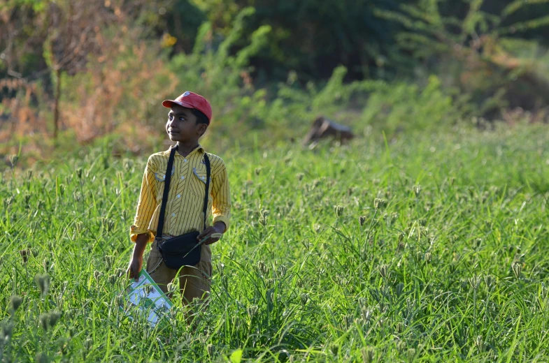 a boy walks through tall grass with a harness