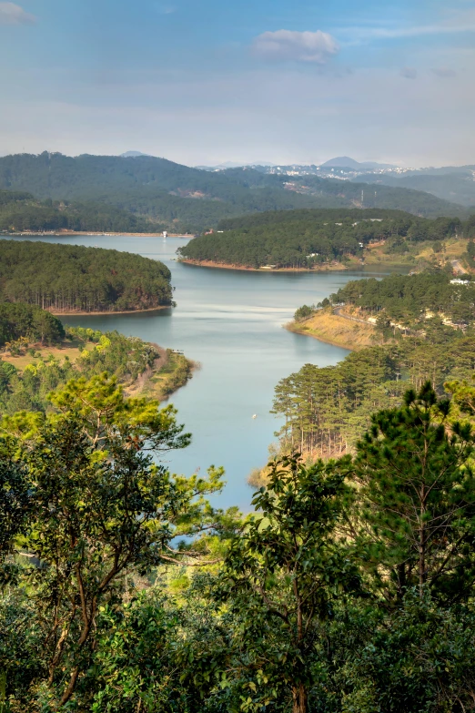 view of large lake surrounded by lots of trees