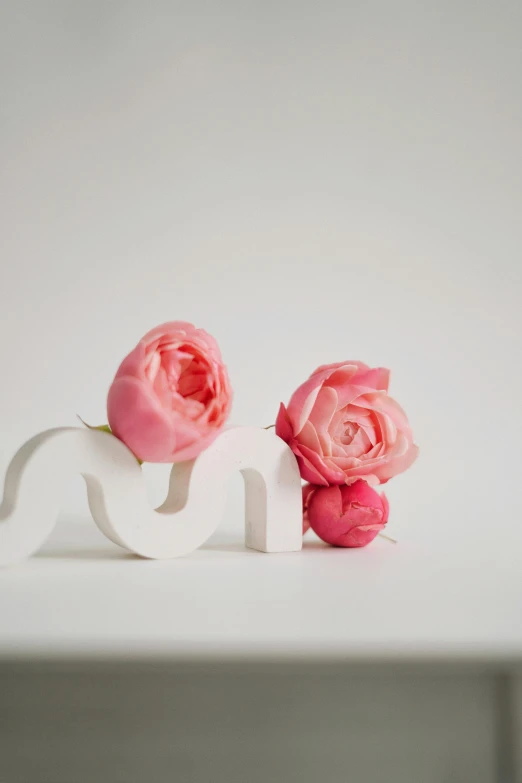 two pink roses and an in white form