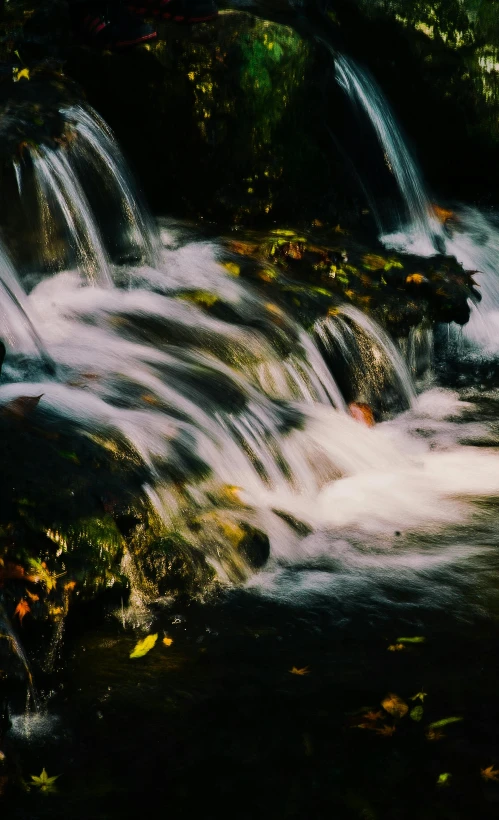 a waterfall that is flowing over grass and leaves