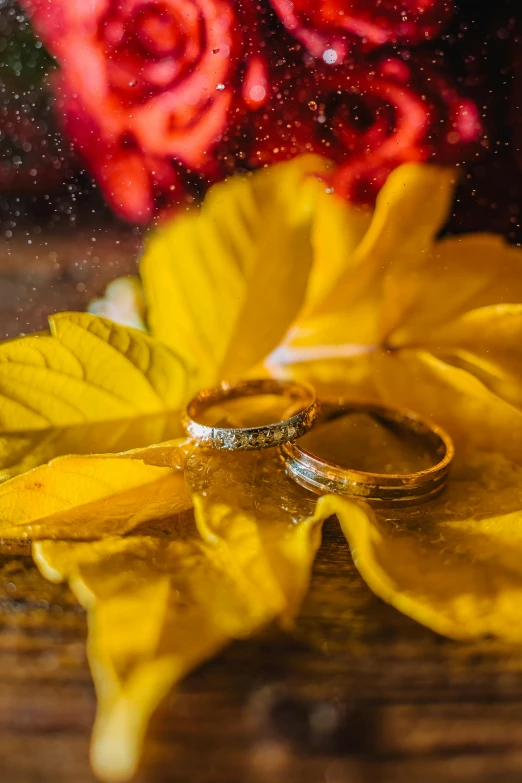 two gold wedding rings with one larger one sitting on top of a yellow flower