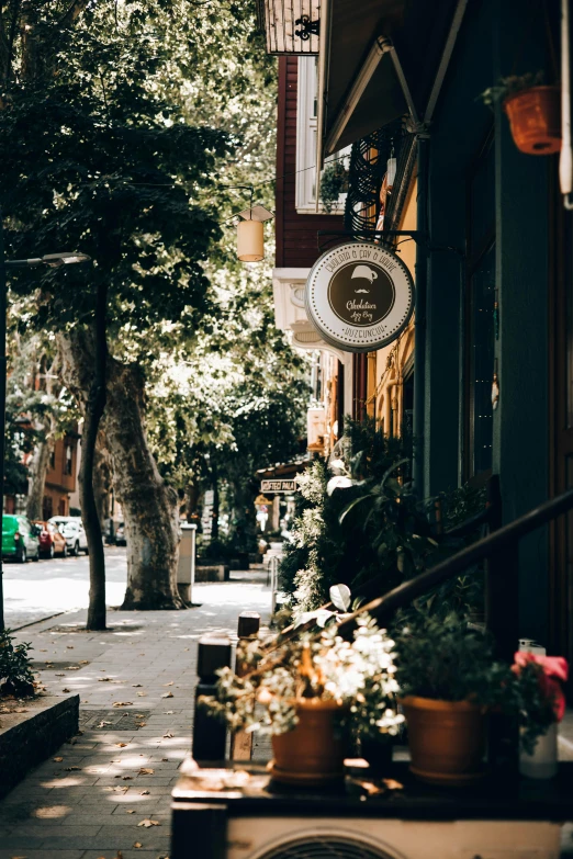 a sidewalk that has plants in a pot on it