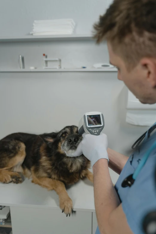 a vet is taking an electronic pet scan