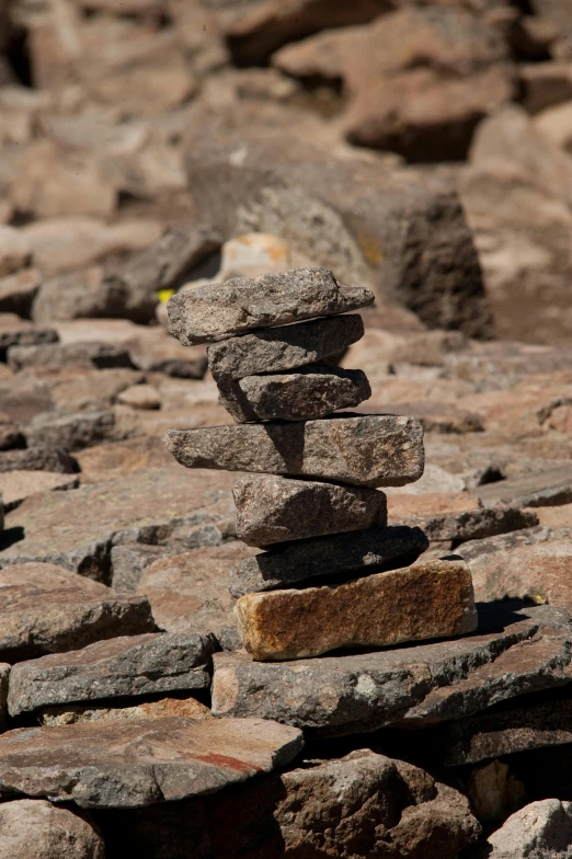 a small pile of rocks sits next to a yellow flower