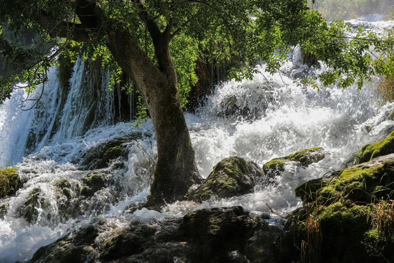 an area with water, rocks and trees