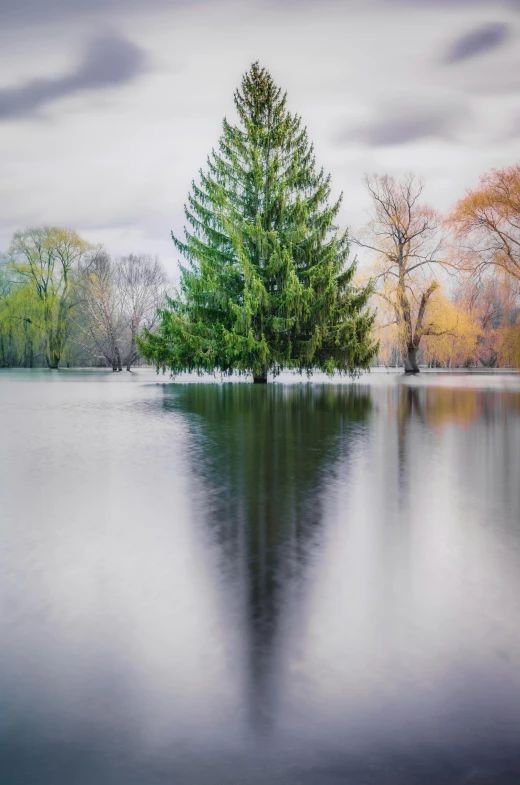 a lake surrounded by green trees and a gray sky