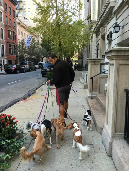 a man on the sidewalk with many dogs