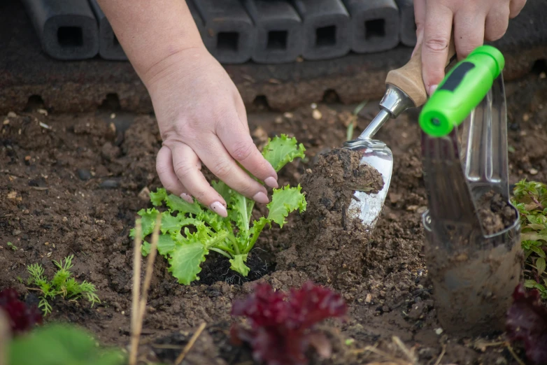 someone is digging in the soil with their hands