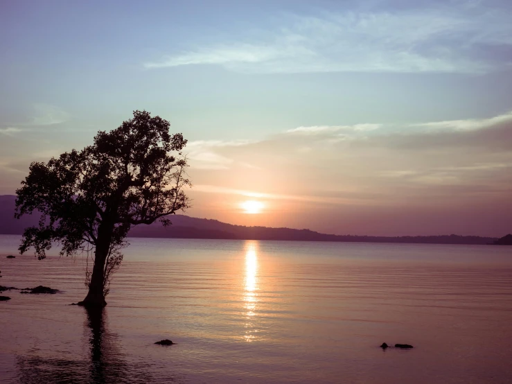 the sun is setting over a tree in a lake