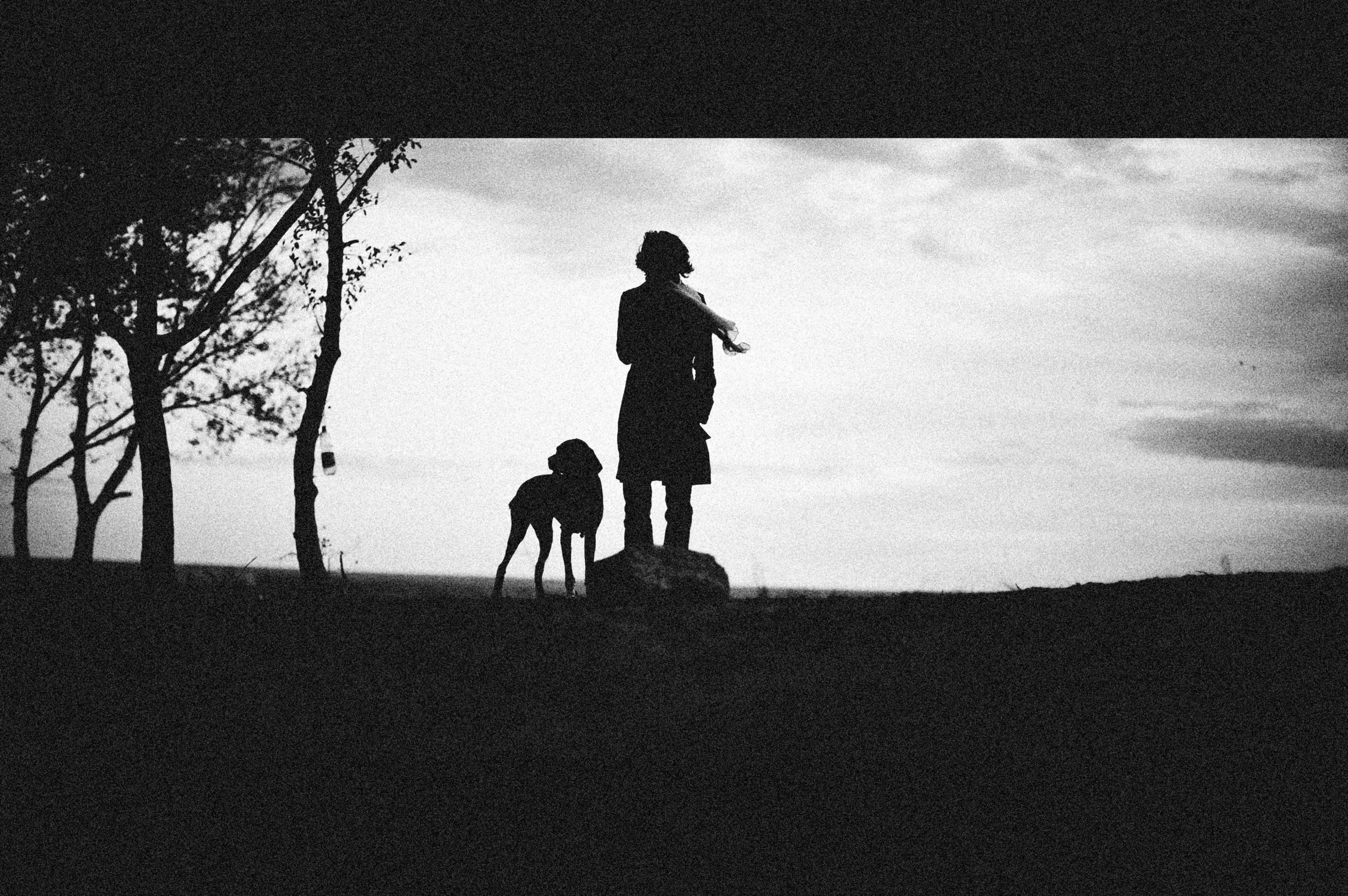 a silhouette of a person with two dogs on a hill