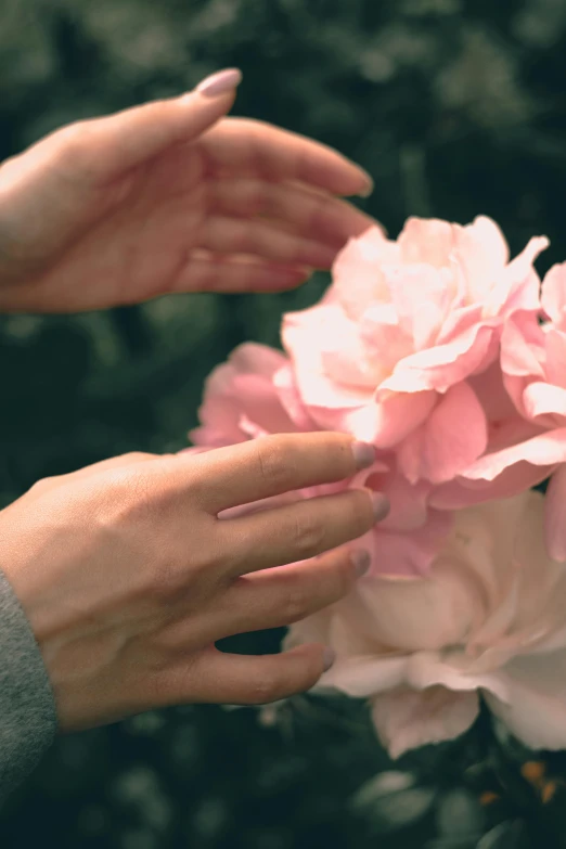 two hands on each of the fingers hold some flowers