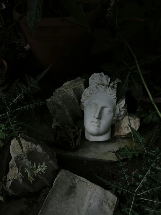 a white busturine is sitting on top of rocks and grass