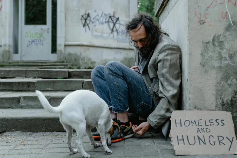 a white cat is sniffing the shoelaces of a man