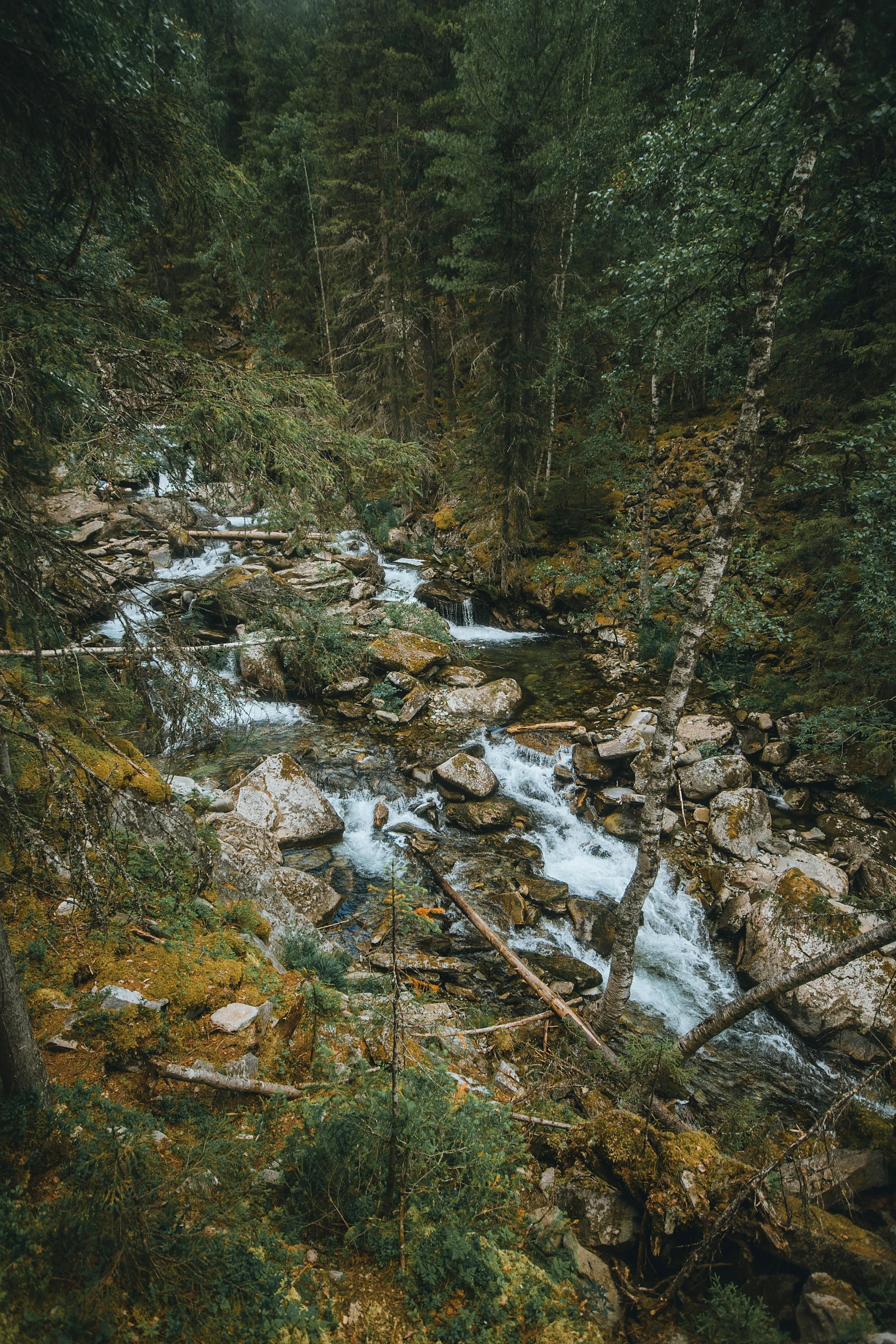 a small creek with water flowing through it and trees around