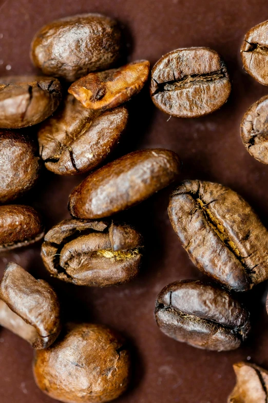 an array of roasted coffee beans and coffee grounds