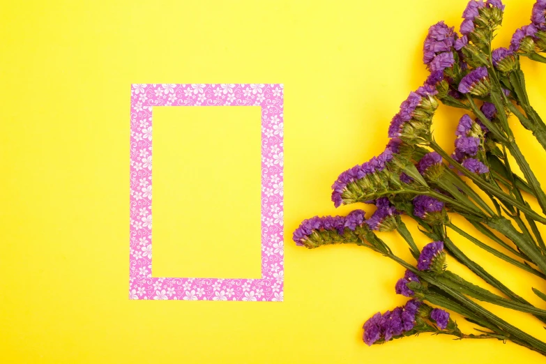 some lavender flowers are laying in front of a yellow backdrop