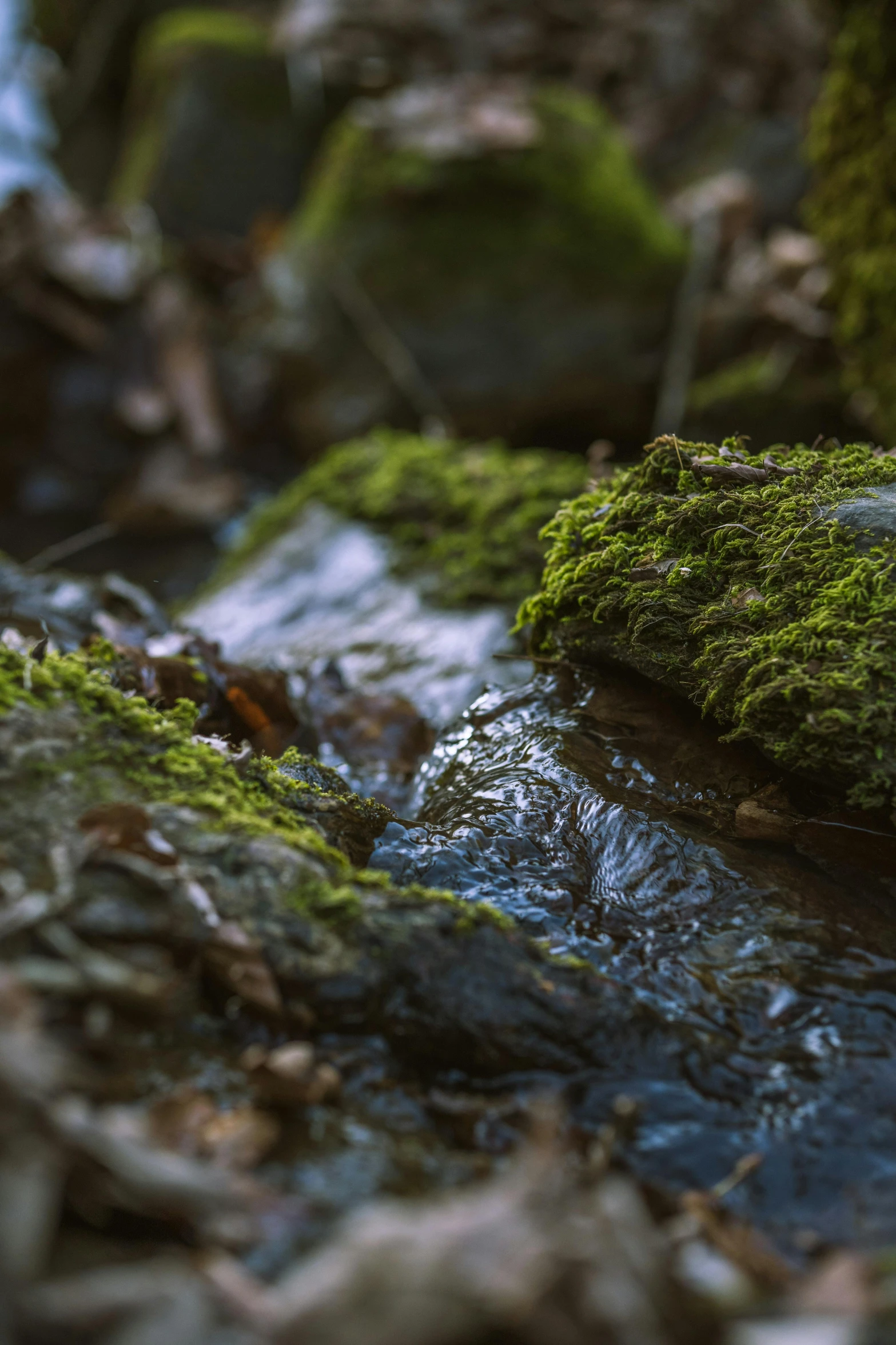 closeup view of flowing water with moss on the rocks