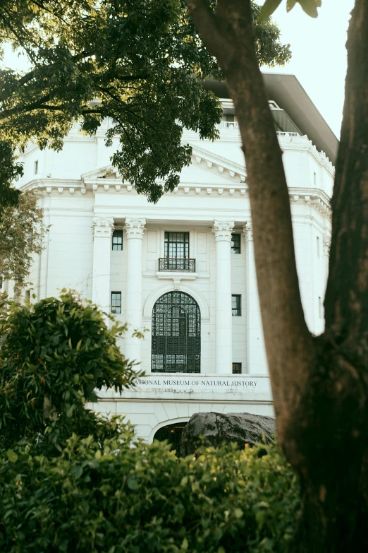 the facade of a large white building behind trees