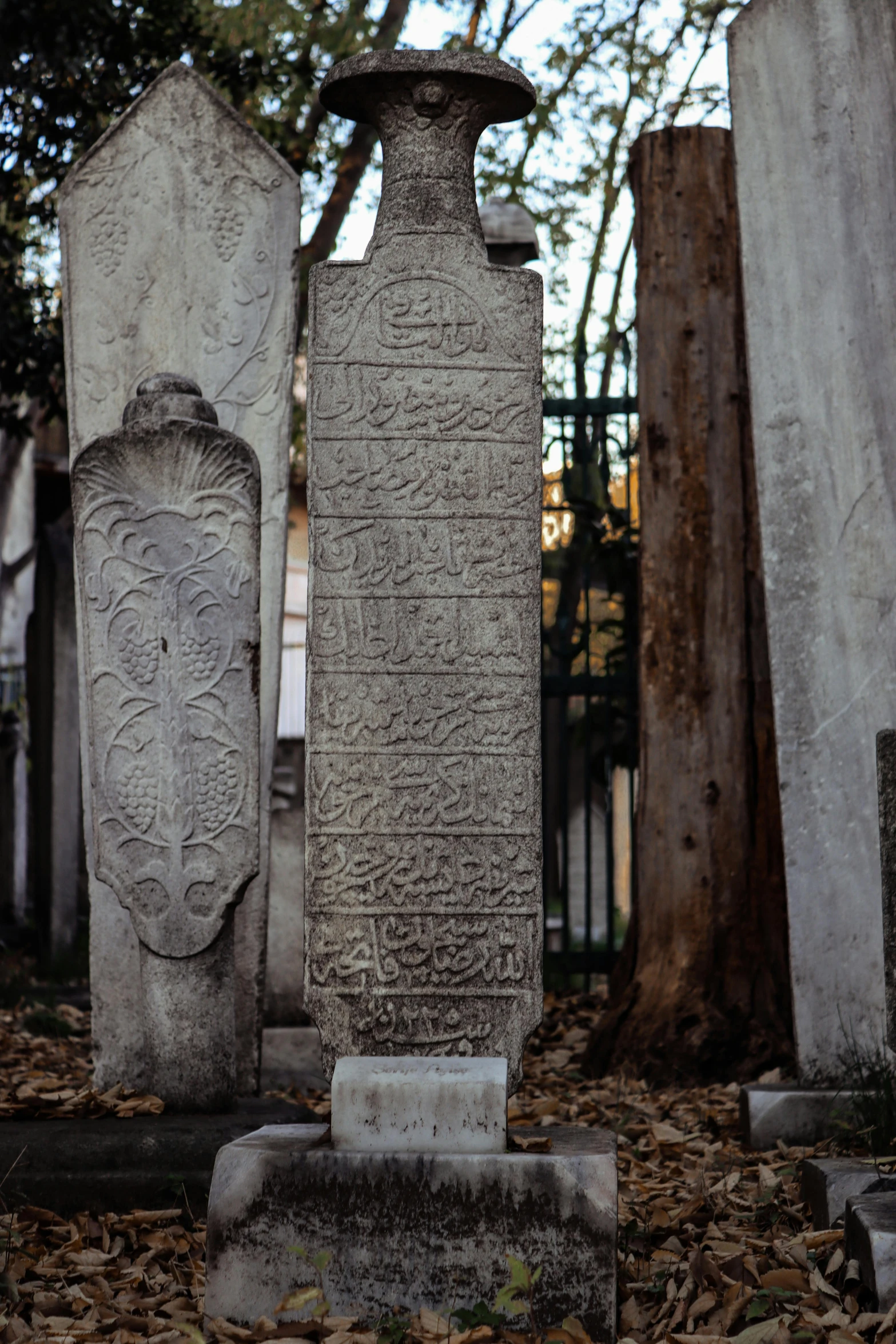 the headstones of two jewish and american cemetary