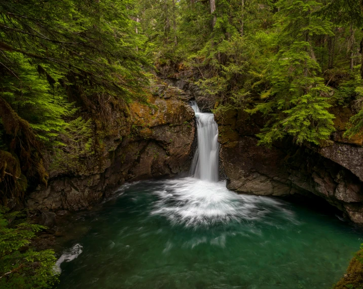 a small waterfall is surrounded by greenery