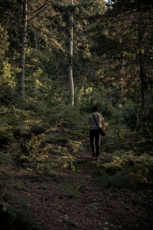 man hiking in the woods walking alone