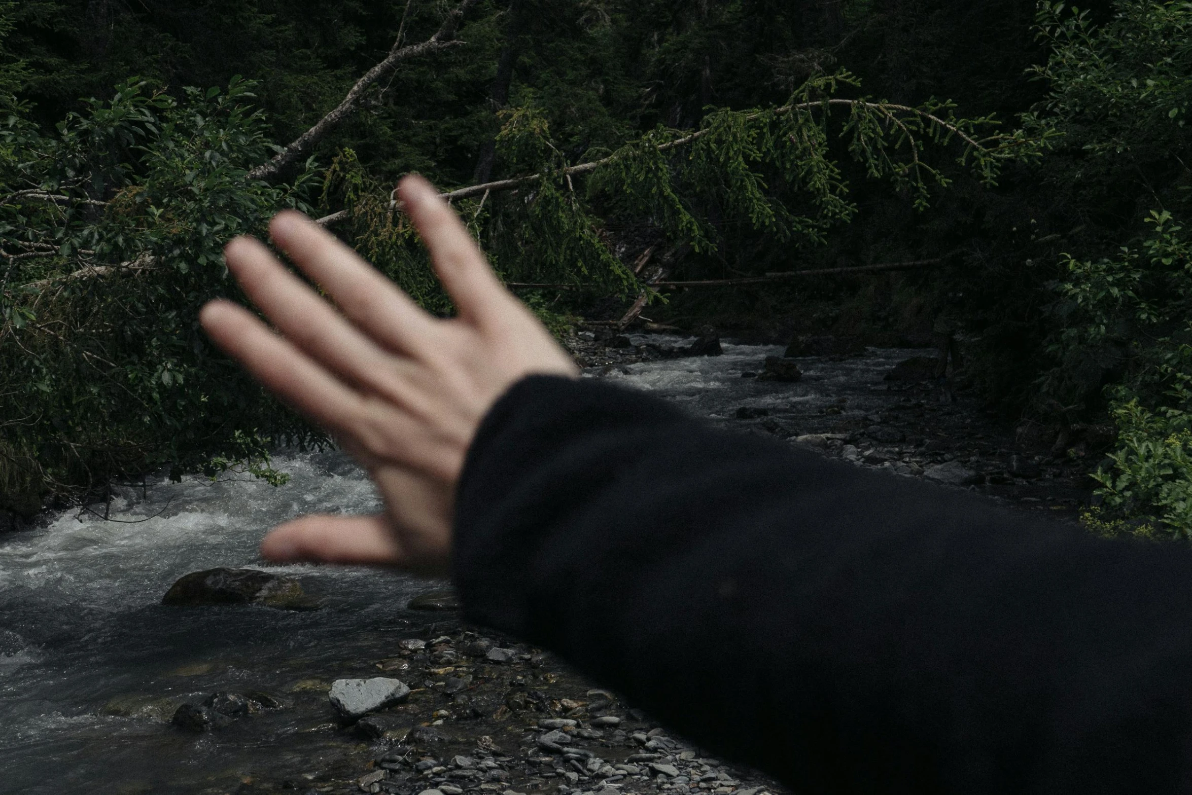 a hand reaches out to the river