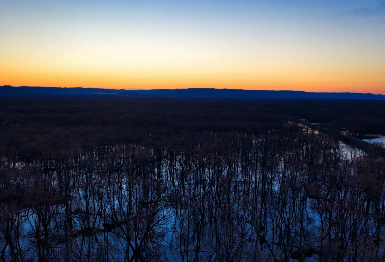 a sunset over trees with no leaves and a hill in the distance