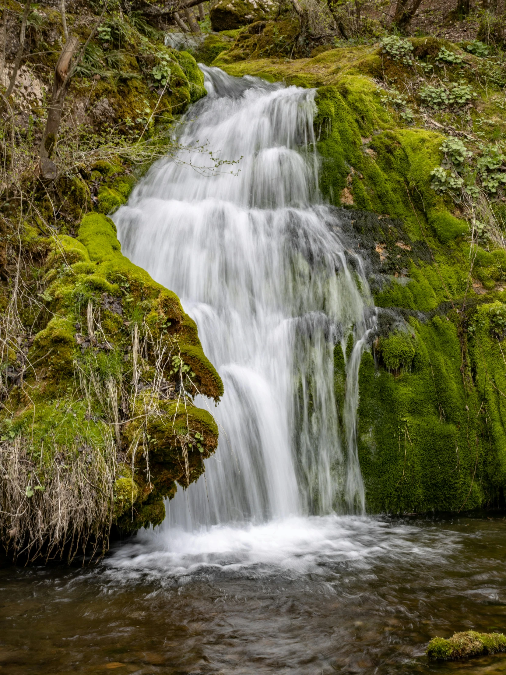 the small waterfall has mossy water cascading from it