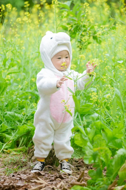 a baby in a bunny suit and a pink heart in the grass