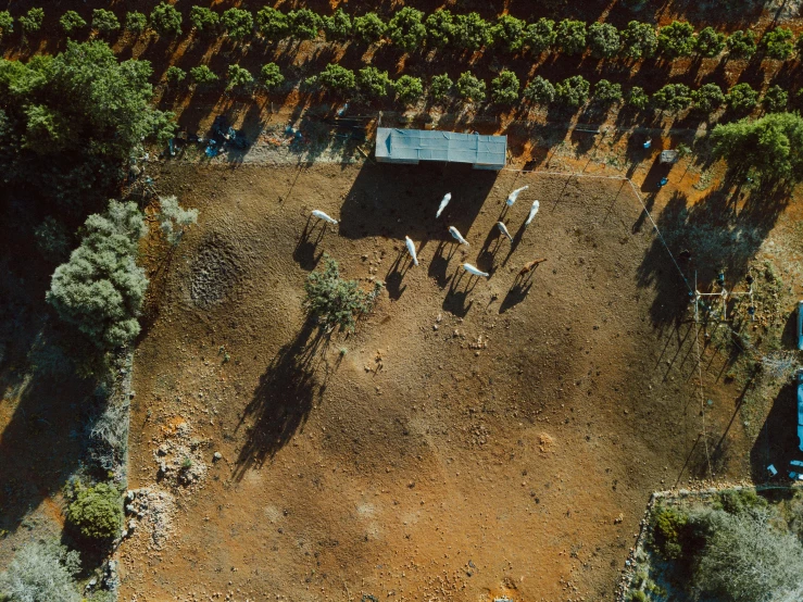 aerial view of trees, house, and farm equipment