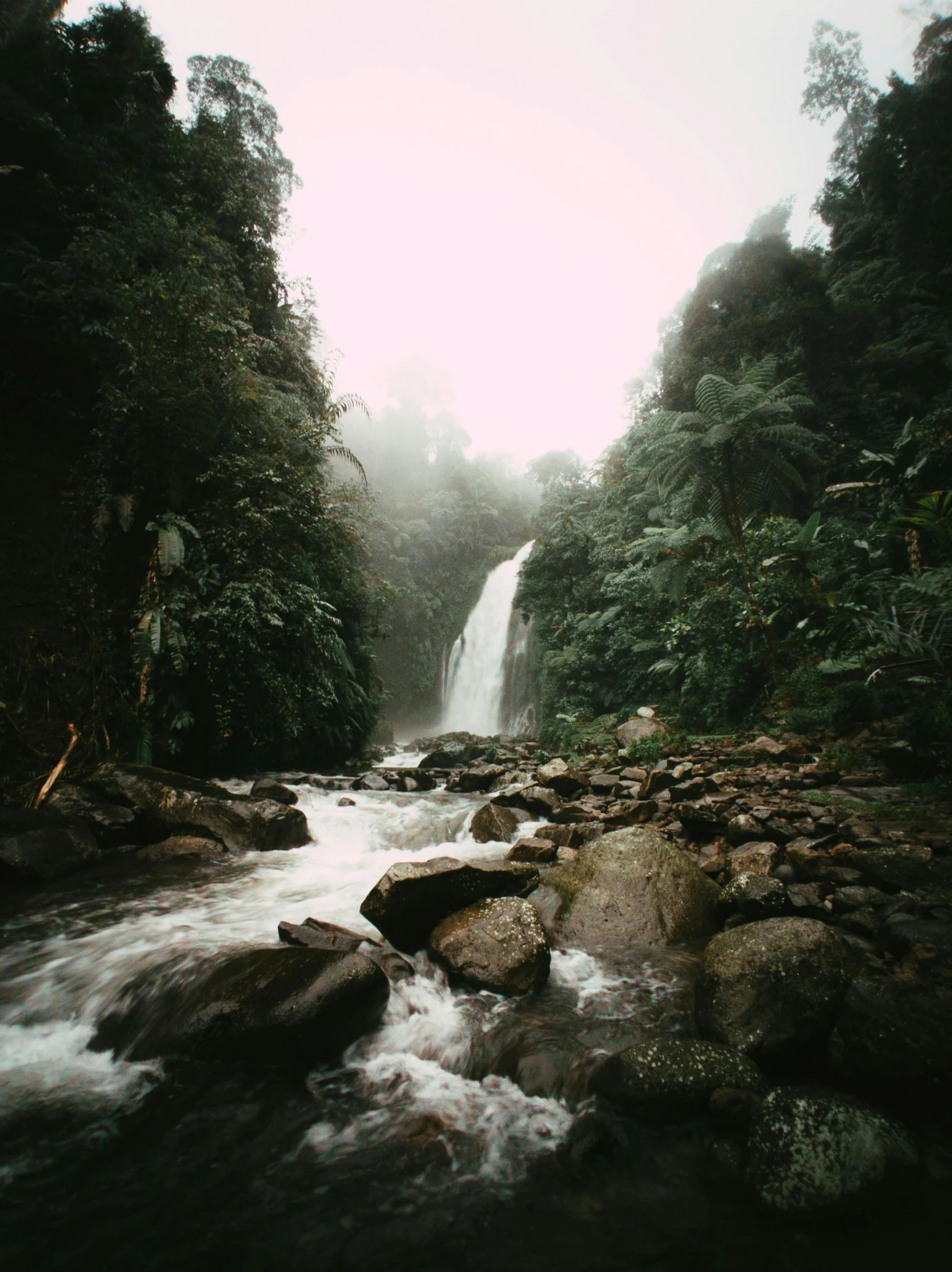 a scenic river in the woods with a waterfall coming out of the back