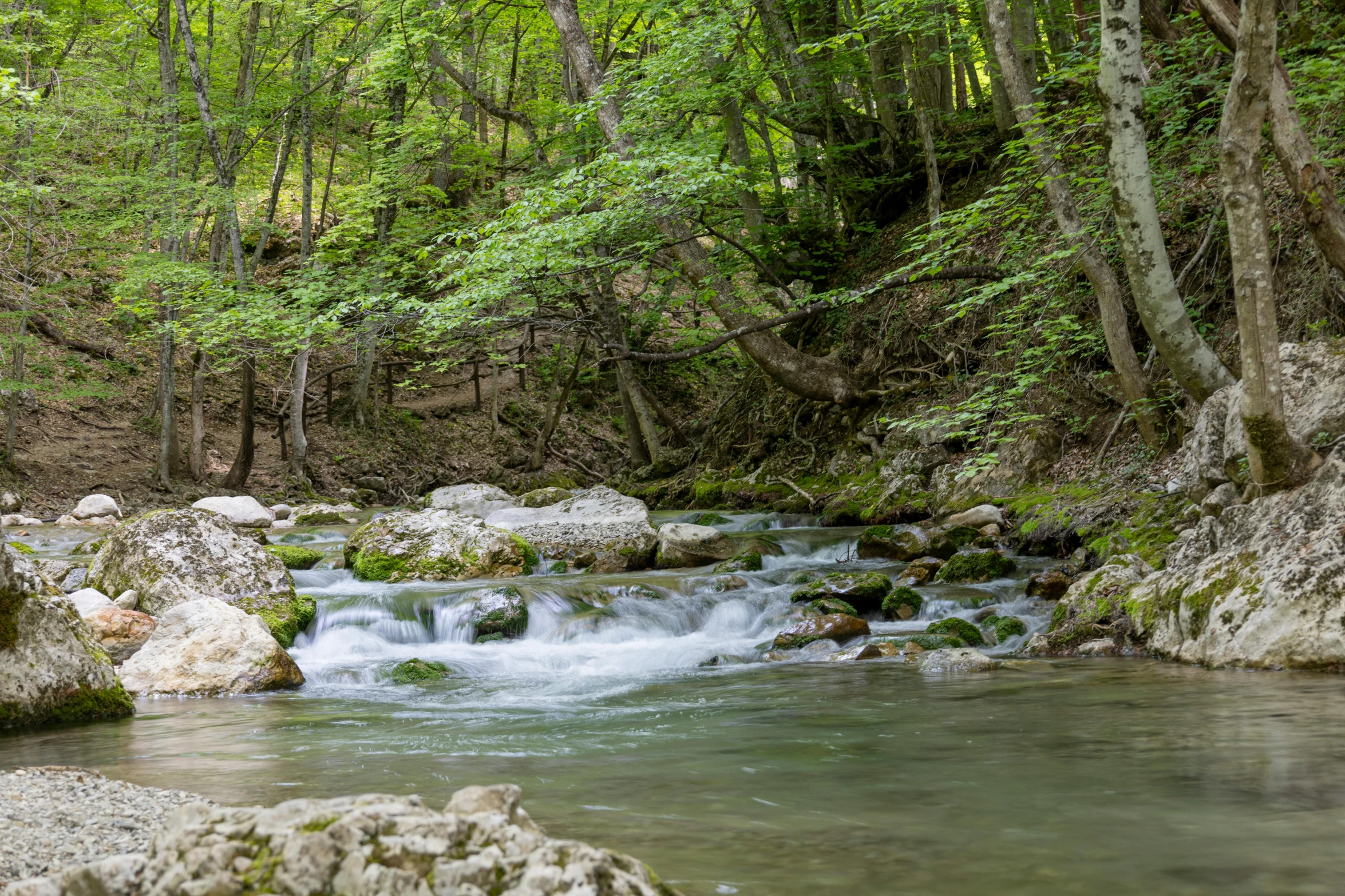 a river that has some green trees near it