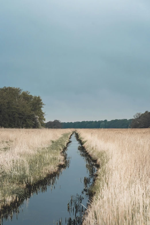 a stream running through the middle of a large field