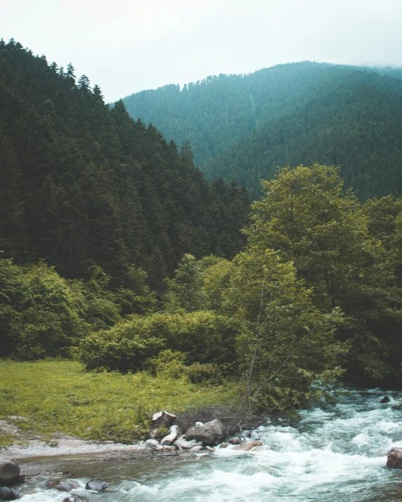 a stream running in a forested area surrounded by mountains