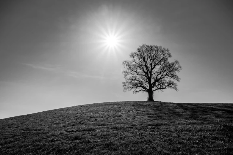 the sun shines through the cloudy sky next to a tree