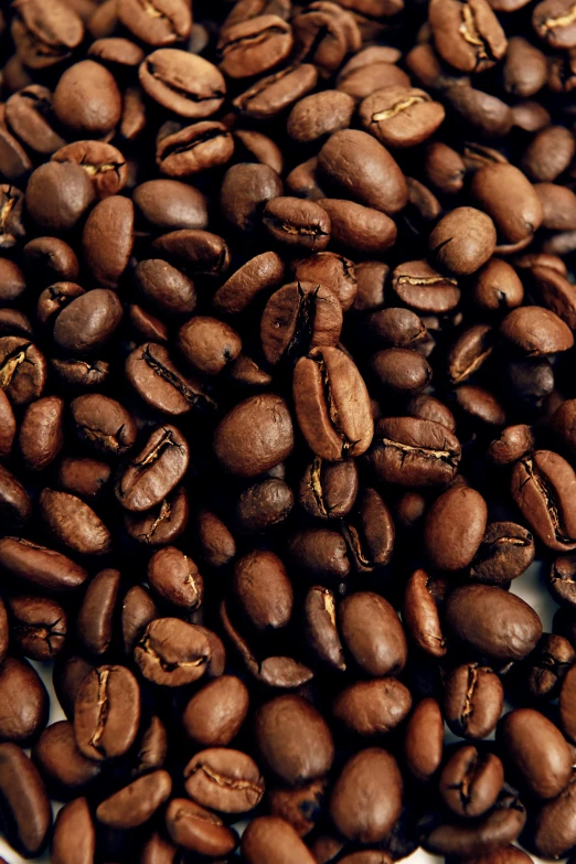 coffee beans are on a white tray, and have been roasted