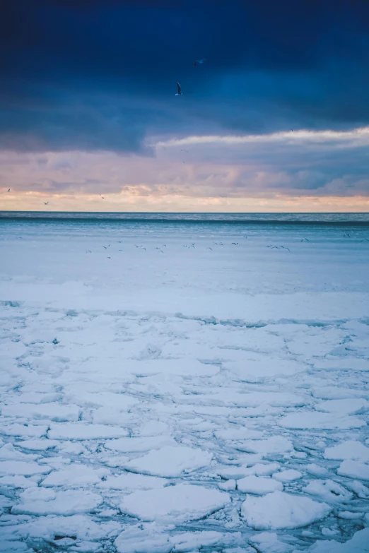 a seagull flying by an icy blue ocean