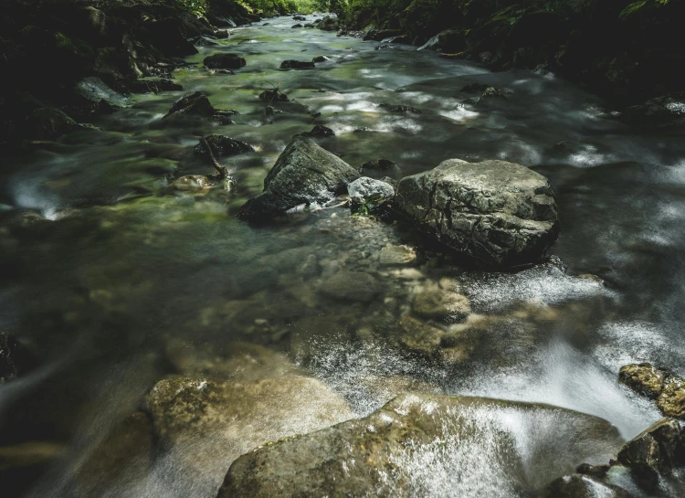 a creek that is running very close to the ground