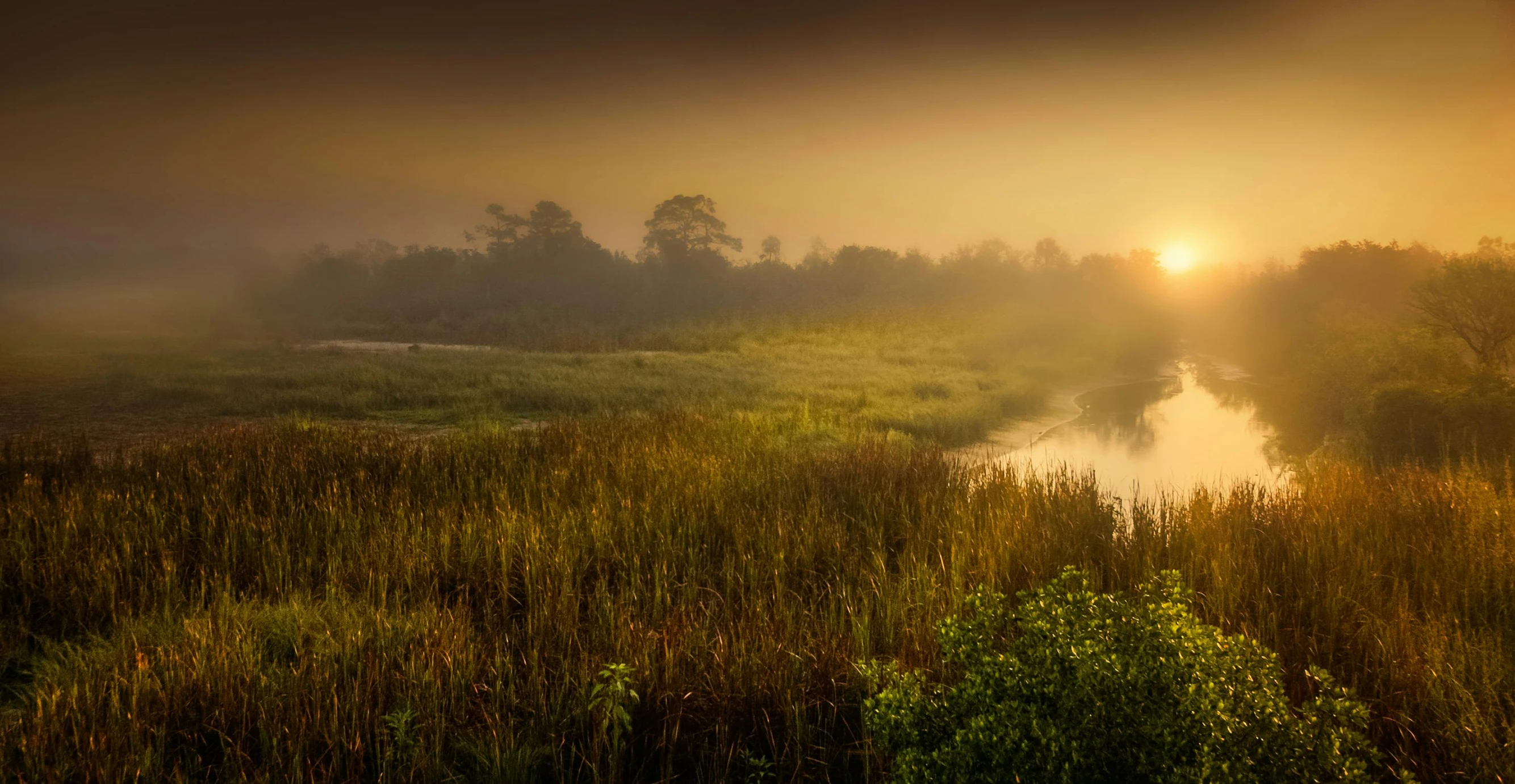 an image of a foggy river in the morning