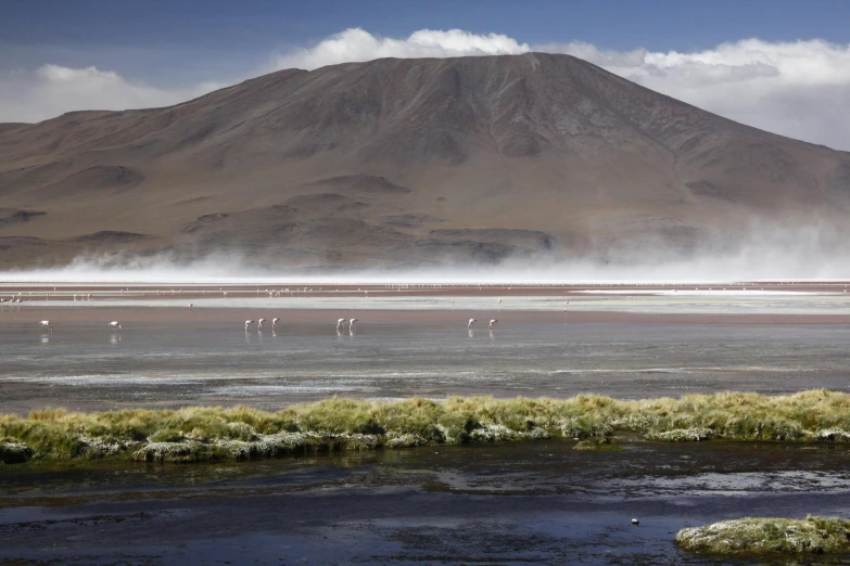 a beautiful landscape with birds in the background